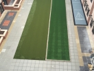 ForeverLawn Select_GolfGreens_SportsTurf