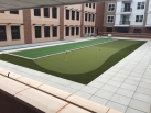Golf Green and Sports Turf