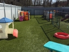 K9 Grass