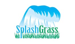 splashgrass by foreverlawn of northern ohio